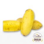 Curuba