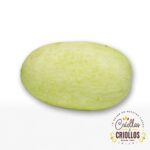 Calabaza Blanca