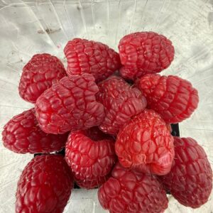 Frambuesa